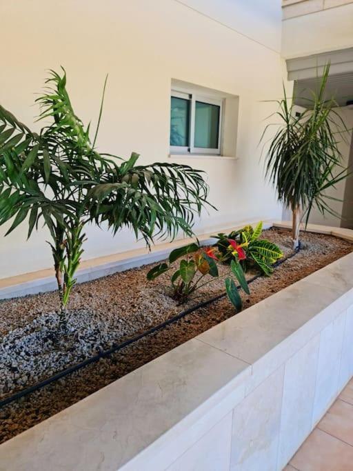 Homely Apt In Modern Building With Pool San Miguel de Abona Exterior foto